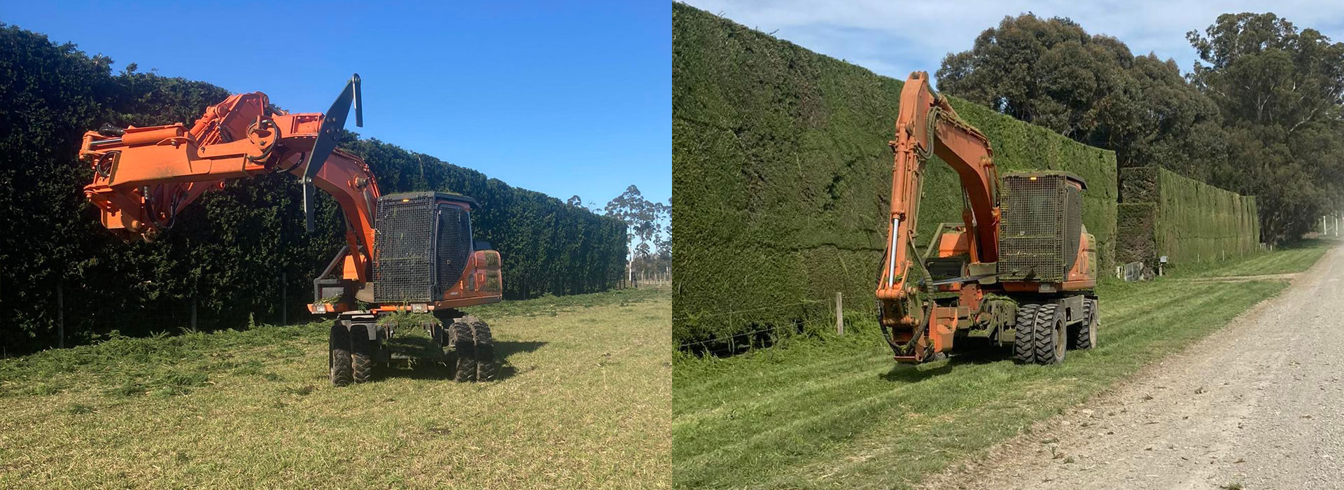 Scotts Tree Trimming